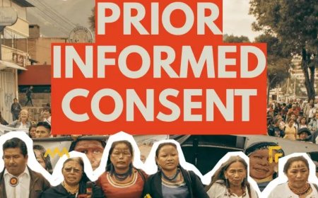 Inheemse dorpsgemeenschappen niet geraadpleegd inzake Nationaal FPIC-protocol