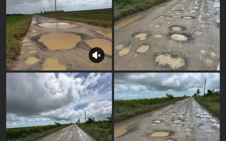 OW van helden naar hobbels