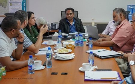 Marokkaanse delegatie en LVV verkennen samenwerking voor duurzame landbouw