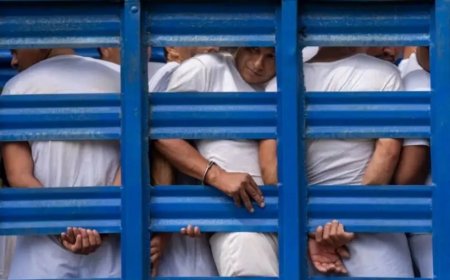 Meer dan vijfhonderd doden in Salvadoriaanse gevangenissen tijdens anti-bendebeleid