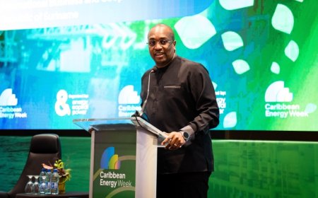 Bouva: ‘Energie moet motor zijn voor brede economische groei’