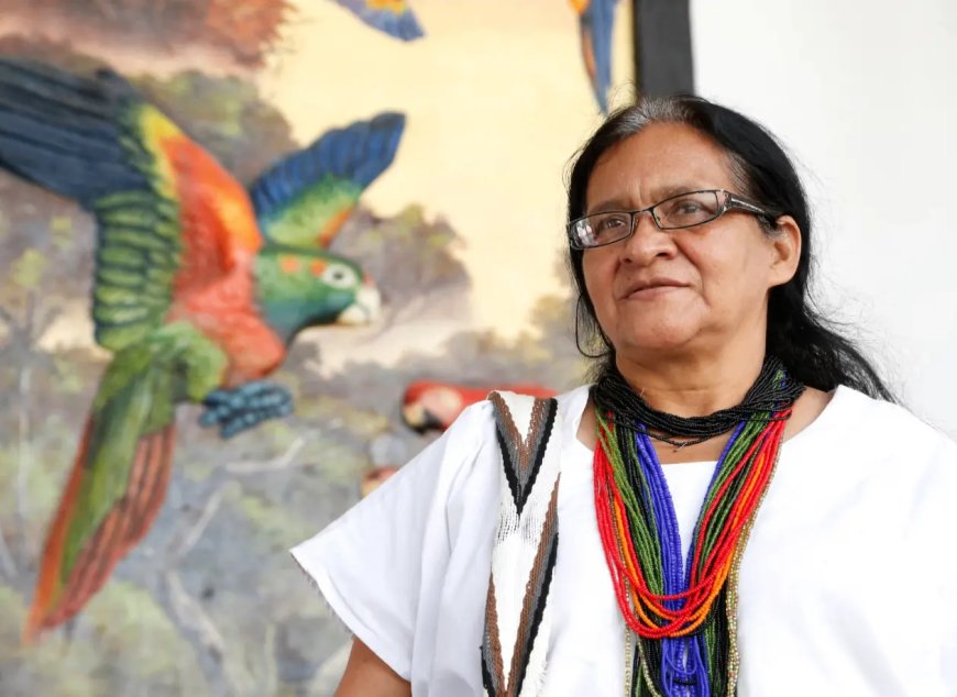 Colombiaanse Leonor Zalabata Torres eerste inheemse persoon in VN-Veiligheidsraad 