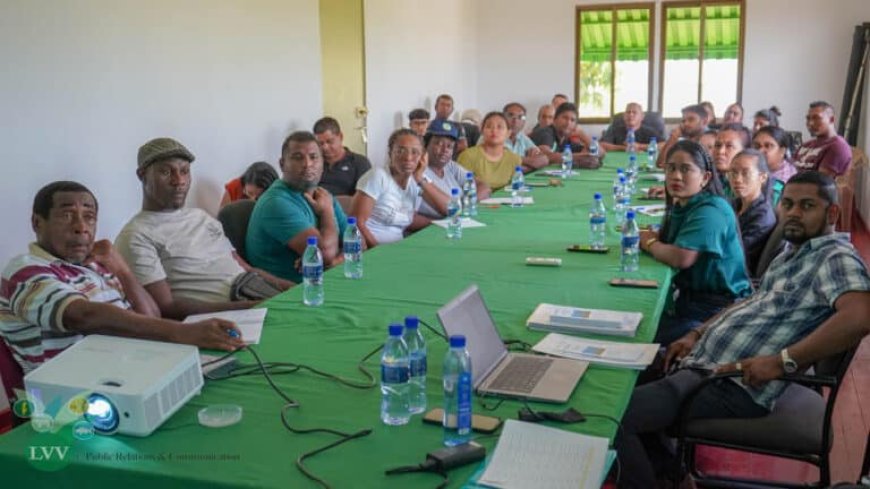 Coronie en Nickerie vrij van cassaveziekte heksenbezem