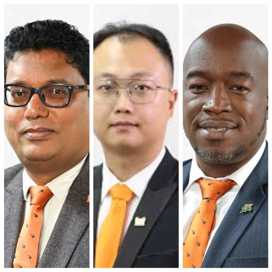 DNA-leden vragen uitleg regering over staatsleningen