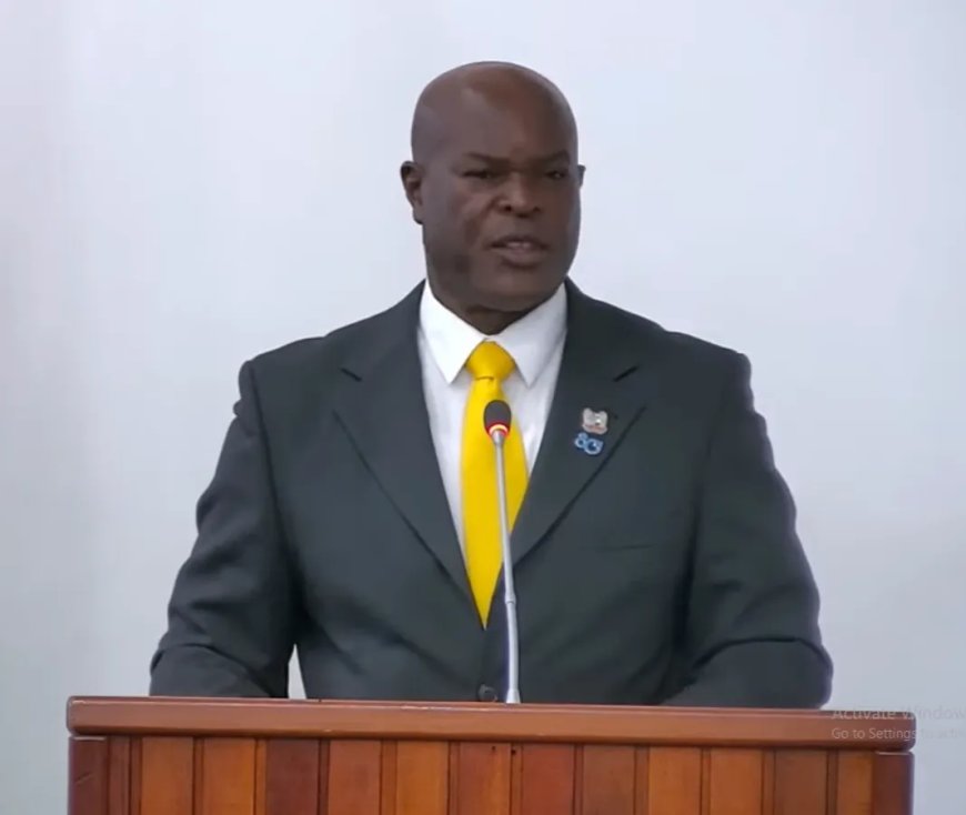 Brunswijk: Grassalco betaalt studie van president-commissaris Sampi