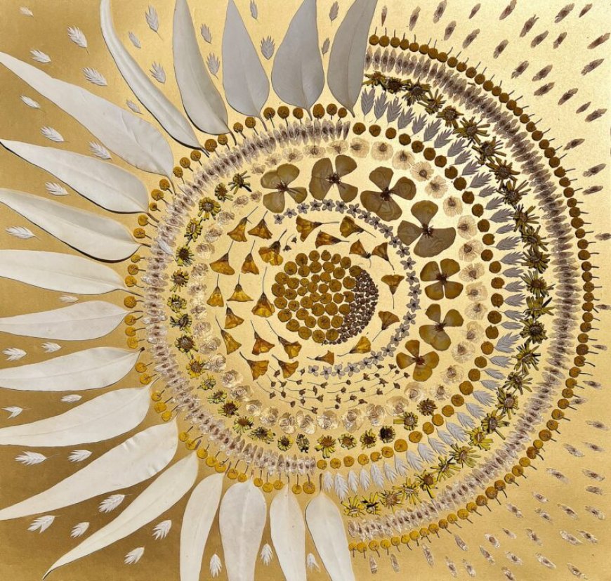 ‘Where the Earth Connects Us’: Drie kunstenaars in natuurlijk dialoog