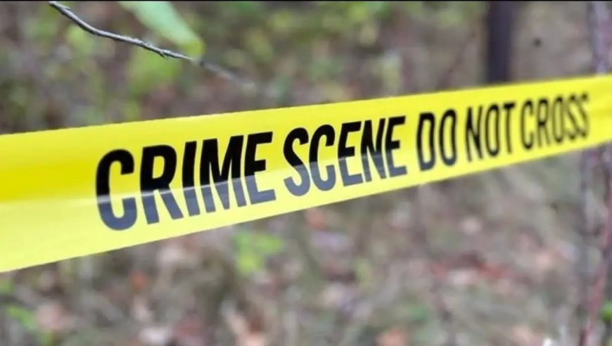 Geweld en veiligheid in Suriname: verhalen achter de cijfers