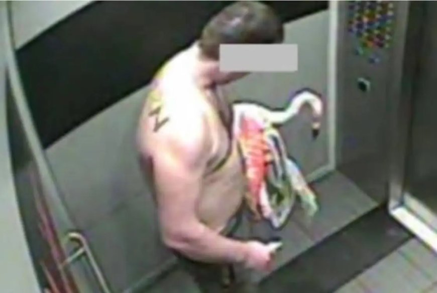 Toerist steelt flamingo uit hotel in Las Vegas