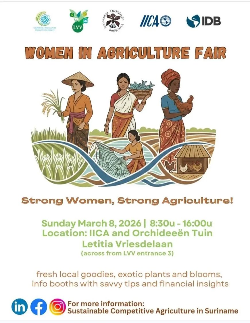 Steeds meer aandacht voor vitamine B12-tekort