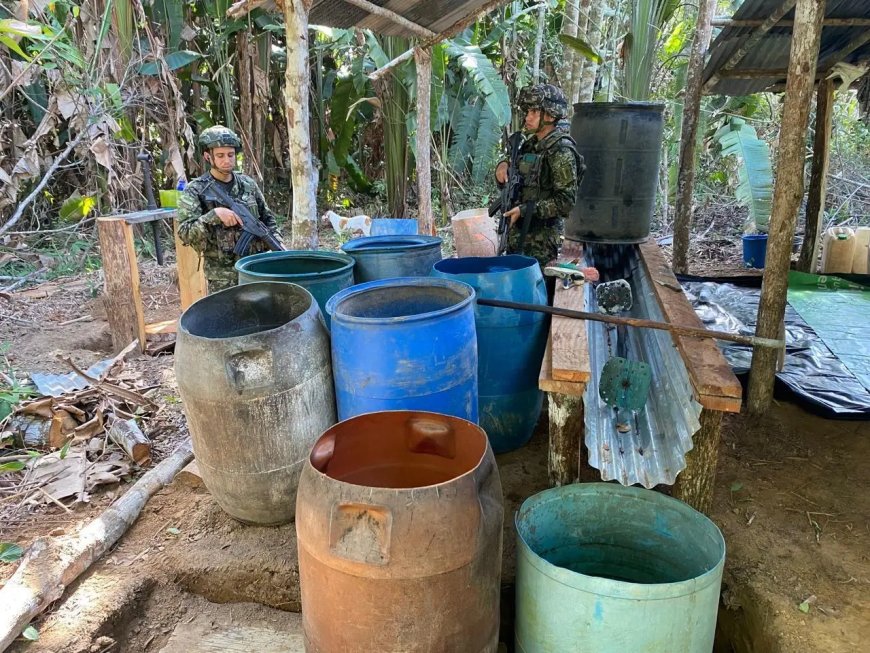 Colombia, Ecuador en Verenigde Staten vernietigen vijf cocaïnelabs