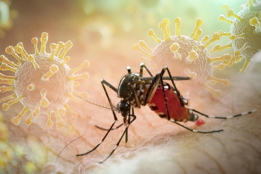 Brazilië gaat chemicaliën sturen voor chikungunya bestrijding