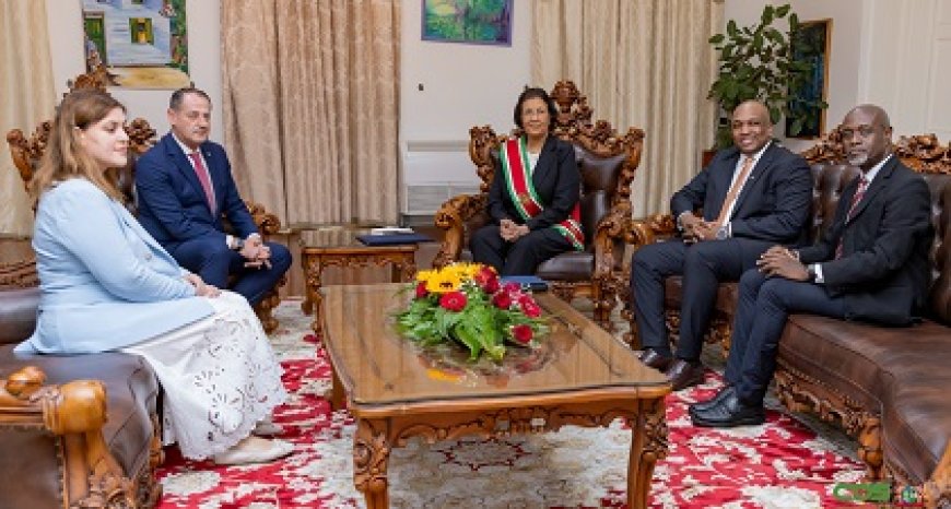 Zes diplomaten overhandigen geloofsbrieven aan president