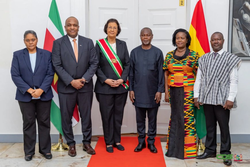 Zes ambassadeurs willen samenwerking met Suriname versterken