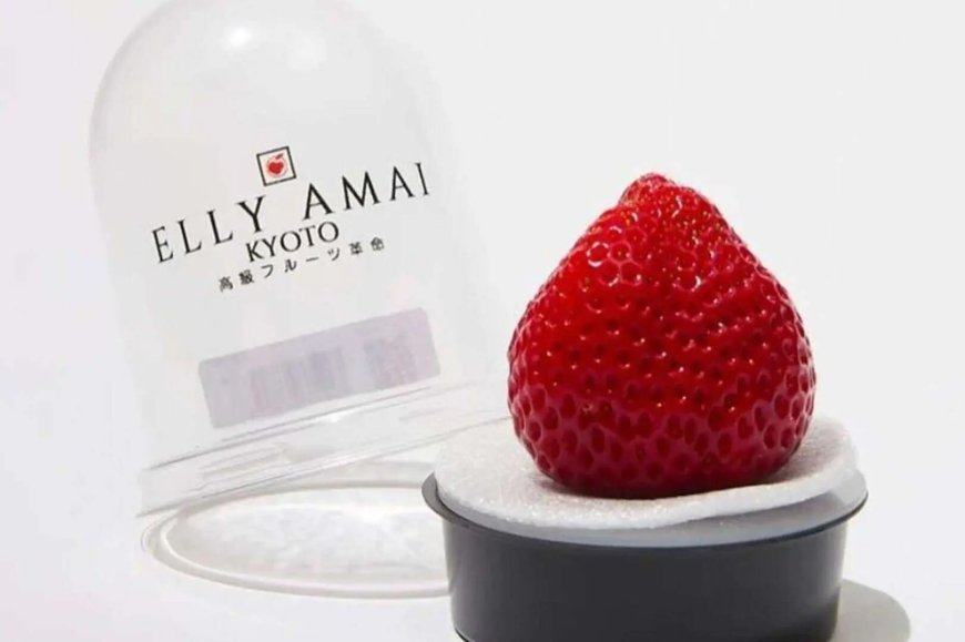 Opmerkelijk – Winkel in Californië verkoopt aardbeien voor 16 euro per stuk