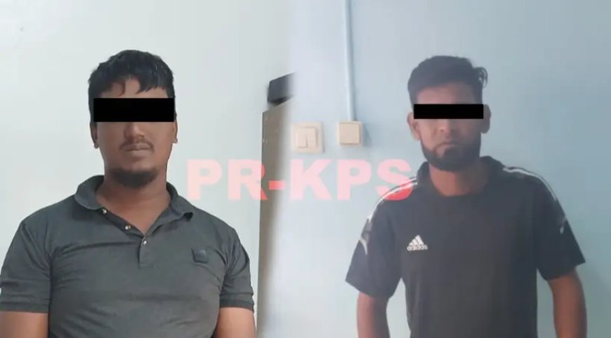 Twee verdachten van diefstal schapen in verzekering gesteld in Nickerie