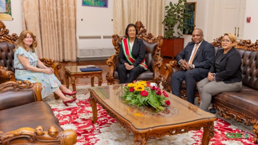 Zes ambassadeurs bieden geloofsbrieven aan president Simons aan