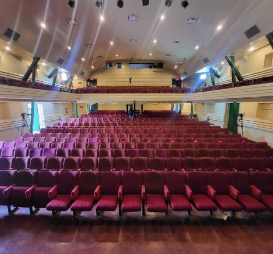 Gedenkboek Thalia is wandeling door geschiedenis van het toneelgenootschap