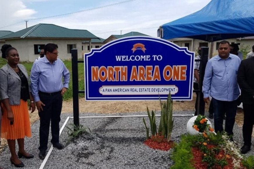 OM: Nurmohamed negeerde negatief advies Raghoebarsing in kwestie Pan-American Real Estate