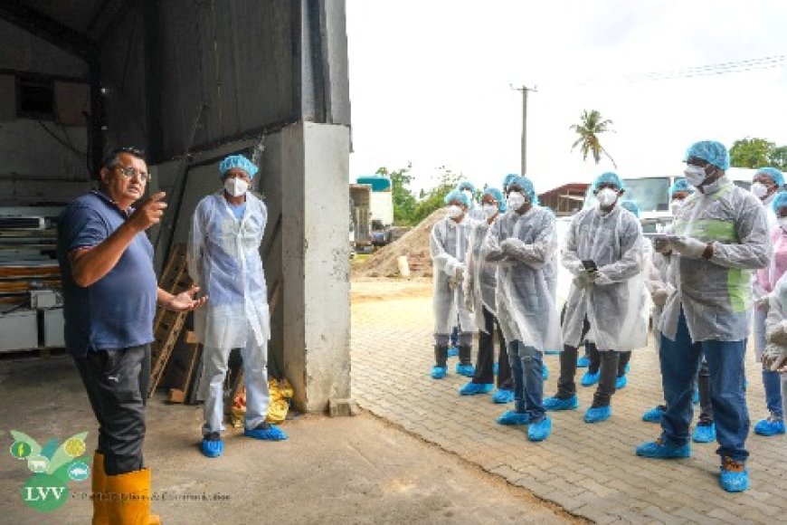 LVV start trainingen voor beginnende pluimveehouders