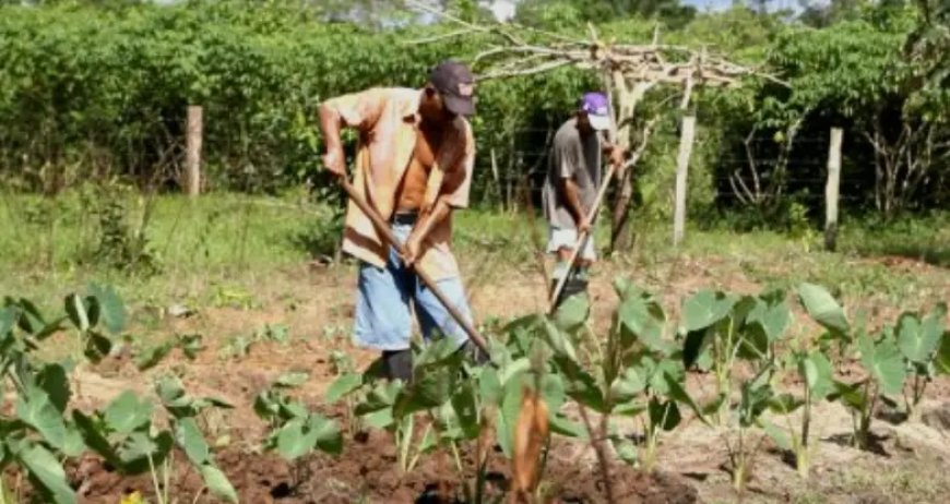 Arbeidstekort in Suriname heeft uiteenlopende oorzaken