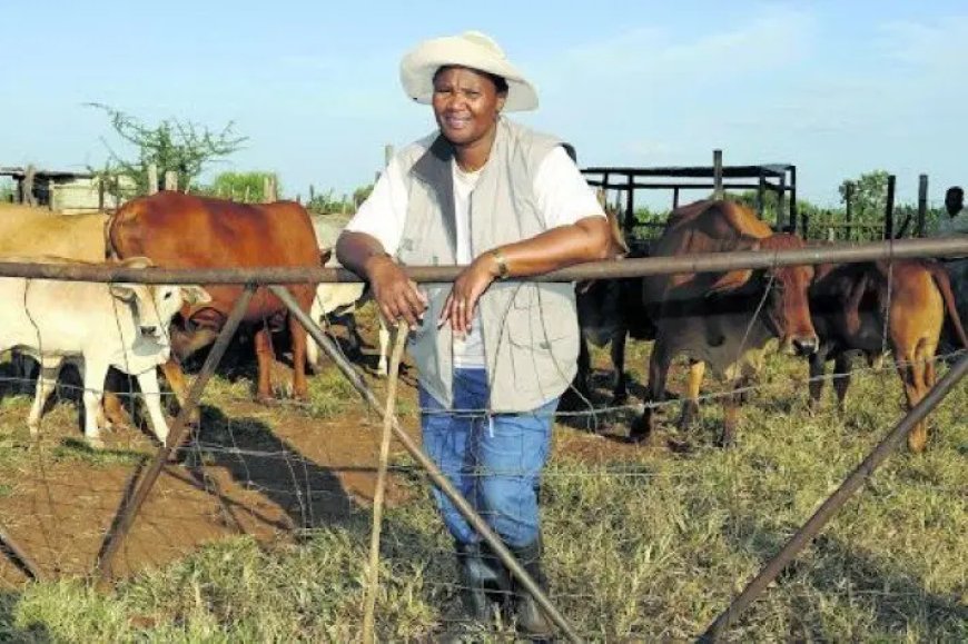 Ook wij zijn het volk, of telt de private sector niet mee?