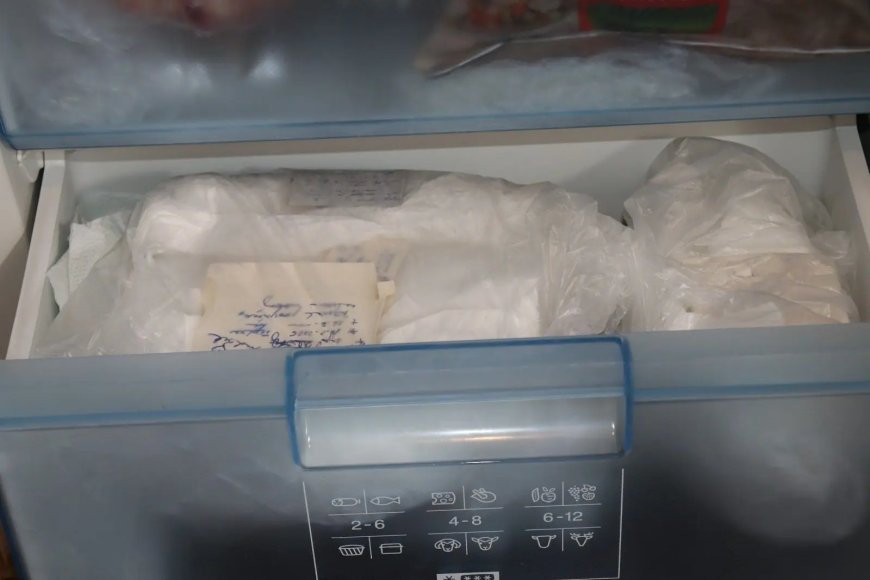 Opmerkelijk – Dierenbescherming Tsjechiê ontdekt ruim 100 dode kittens in vriezer van vrouw