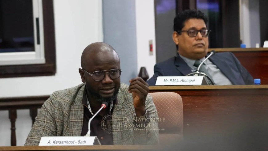 Zoveelste poging in DNA voor openbaarheid van bestuur