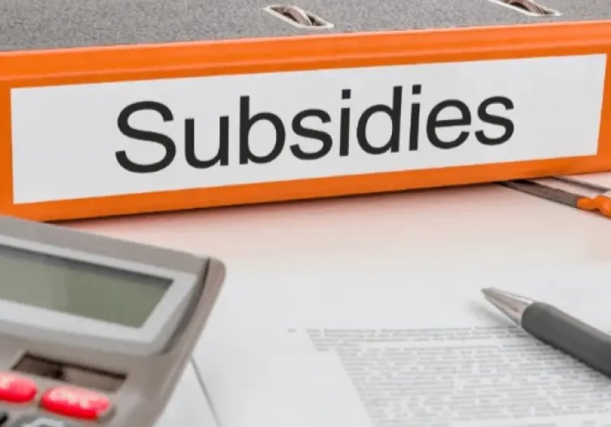 Sociale instellingen in crisis door trage subsidies overheid
