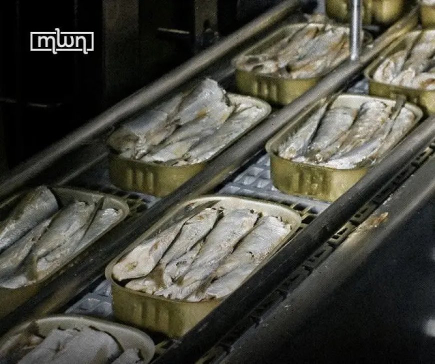 Marokko stopt sardine-export naar EU