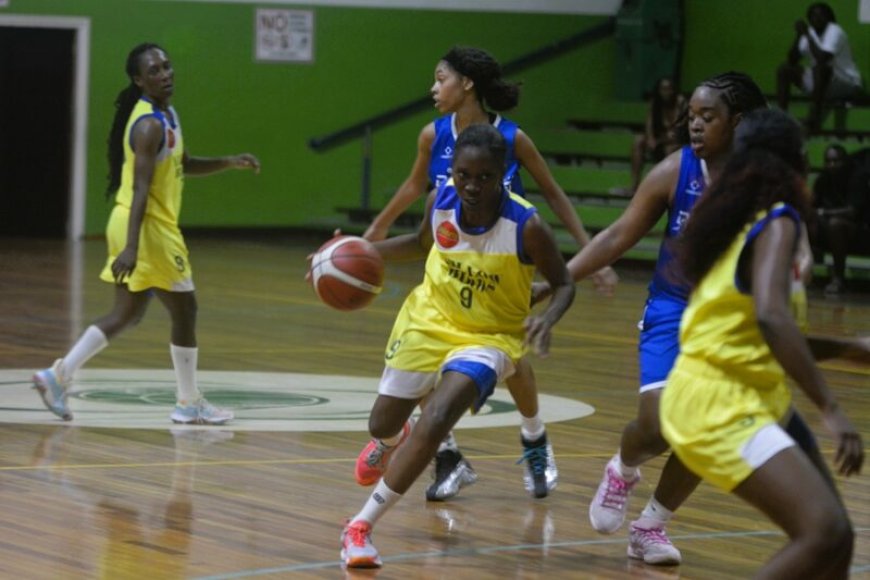 Basketbalsters Yellow Birds delen eerste tik uit in thriller