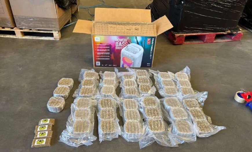 Douna onderschept zo’n 20 kilo hasj in haven Vlissingen voor Suriname