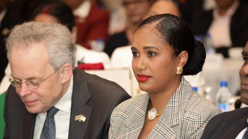 Jurist Essed: DNA moet daadkracht tonen bij keuze derde rechtsinstantie