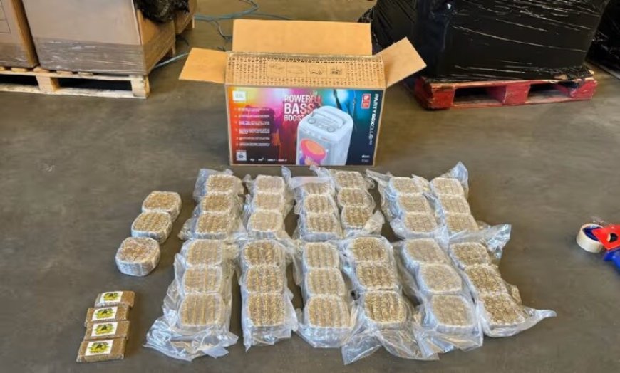 Hasjzending bestemd voor Suriname onderschept in Vlissingen