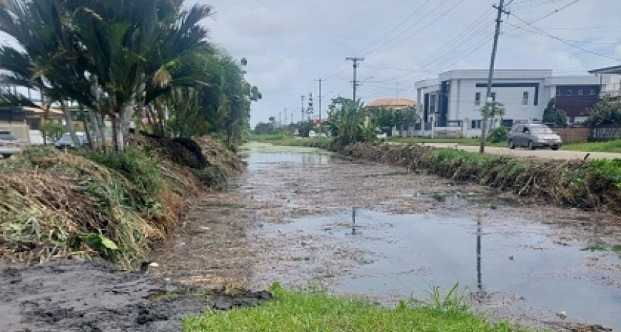 Aanpak overmatige begroeiing in lozingen Verdistraat van start