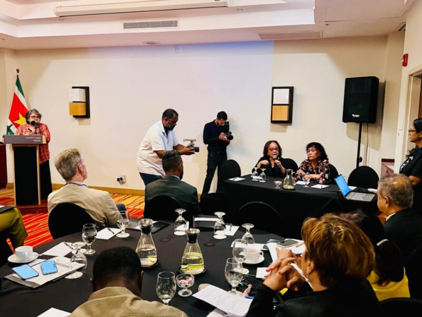 Grote opkomst bij themadag over huiselijk en gendergerelateerd geweld