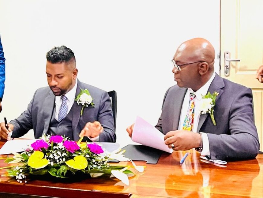 BESCHOUWING — De oude koeien van Harish Monorath