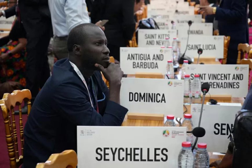 WTO-chef: wereldorde is onherroepelijk veranderd