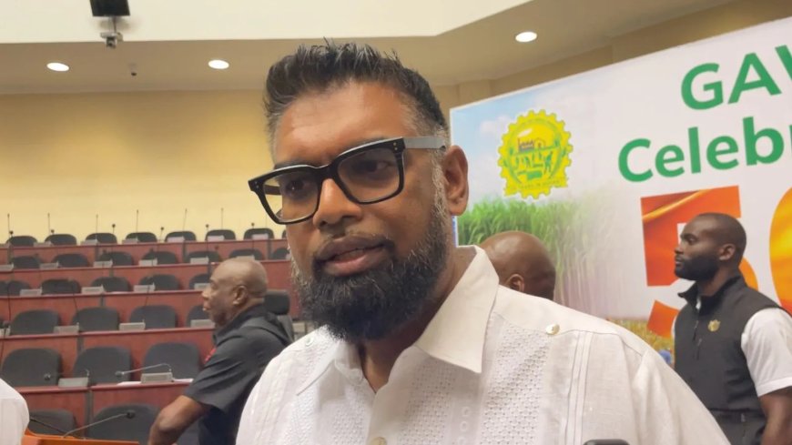 Ali waarschuwt: Guyana grijpt in bij uitblijven oplossing heffingen Corantijnrivier