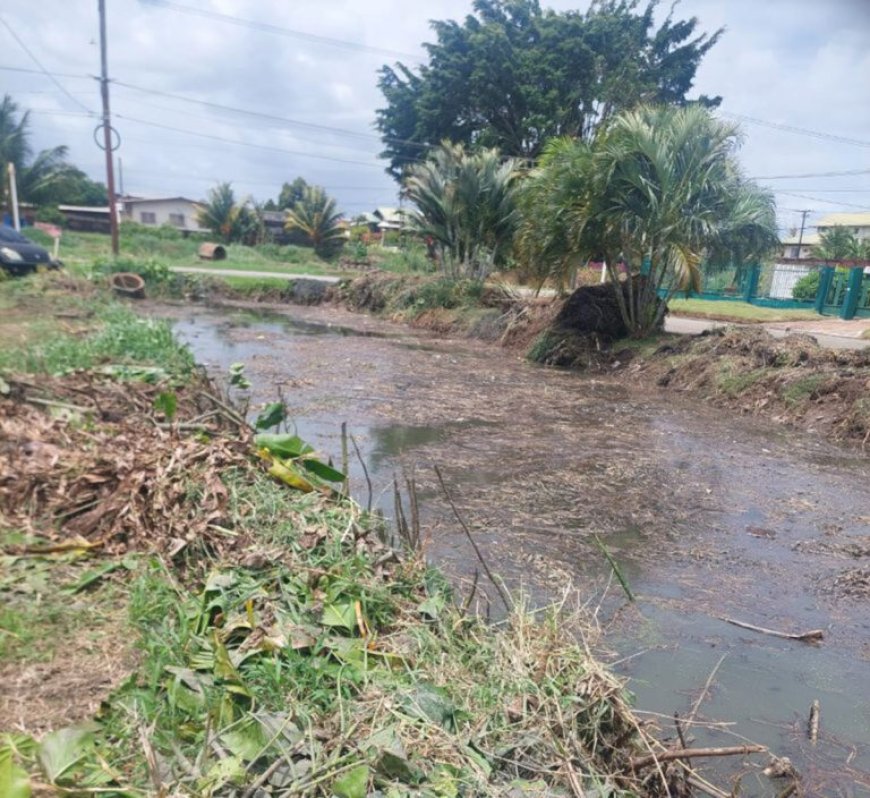Lozingen Verdistraat worden opgeschoond