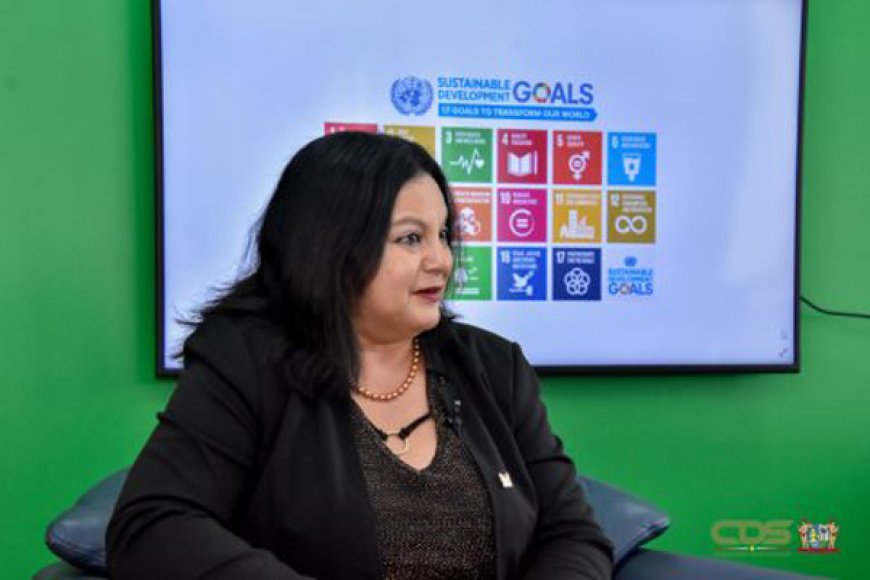 Del Castilho: ‘Beroep op wederkerigheid in kwestie Corantijnrivier niet terecht’