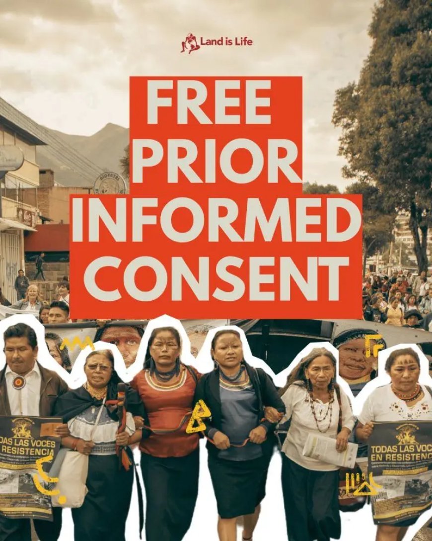 Inheemse dorpsgemeenschappen niet geraadpleegd inzake Nationaal FPIC-protocol