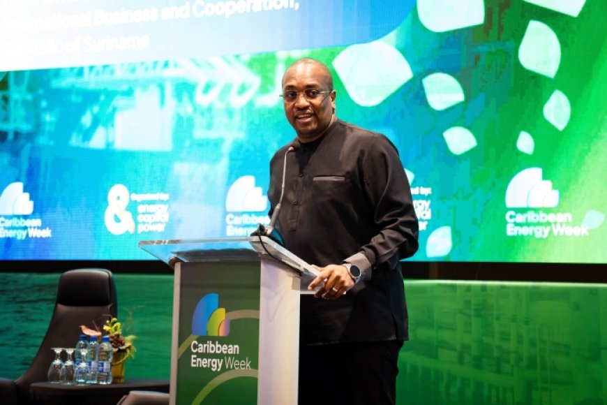 Bouva: ‘Energie moet motor zijn voor brede economische groei’