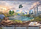 Carbon credit markt: beloftes van miljoenen, realiteit van nul  