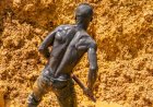 Goudkoorts zonder goud: staat graaft, maffia lacht