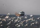 Iran hernieuwt controle over Straat van Hormuz, schepen melden beschietingen