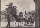 COLUMN – RIDING THE DONKEY