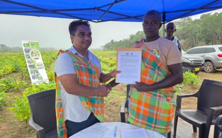 Succesvol proefproject sojateelt in Phedra