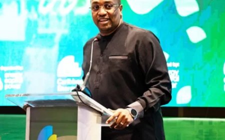 Bouva: Energie moet motor zijn voor brede economische groei Suriname