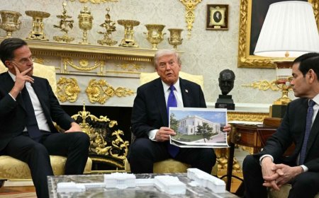 Rechter VS legt bouw Trumps balzaal van 400 miljoen tijdelijk stil