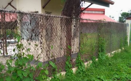 Praktijkcentrum te Apoera staat onder hoog wied